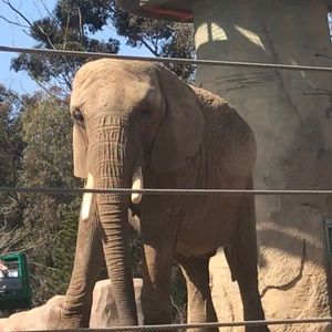 Meet your Posher, Cathy